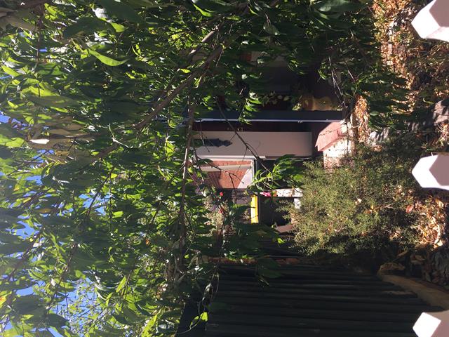 22 Byers Road 06