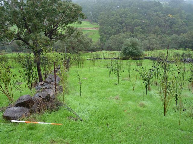 Stone walls - view north