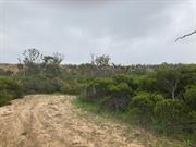 Cockleshell Gully - 1 Sep 2021 (13)