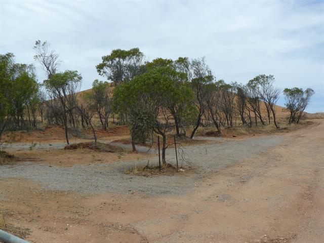 View of mound - close up of remedial works following demolition