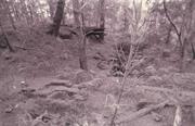 Ellis Creek Timber Mill Site