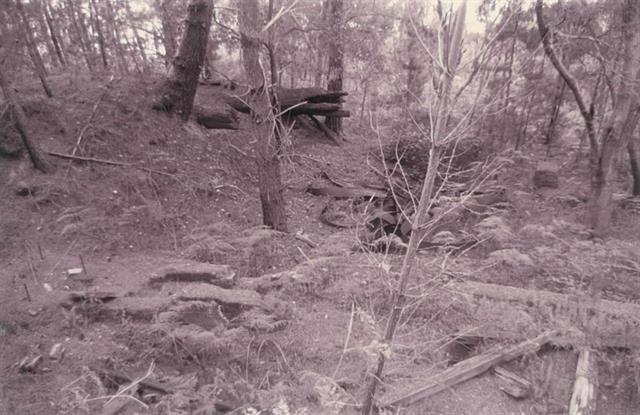 Ellis Creek Timber Mill Site