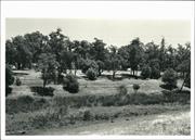 View of dried former mill race
