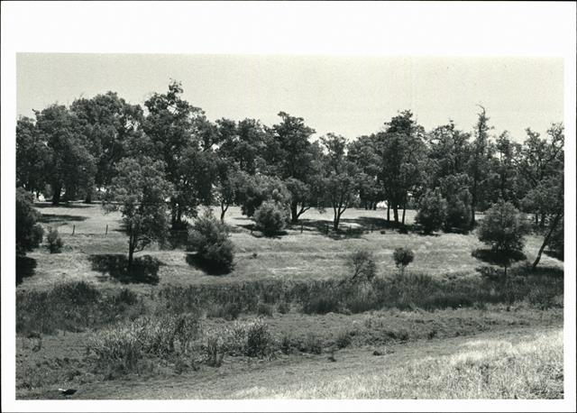 View of dried former mill race