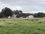 Cowalla - Homestead, Kitchen and Coach House - 30 Aug 2021