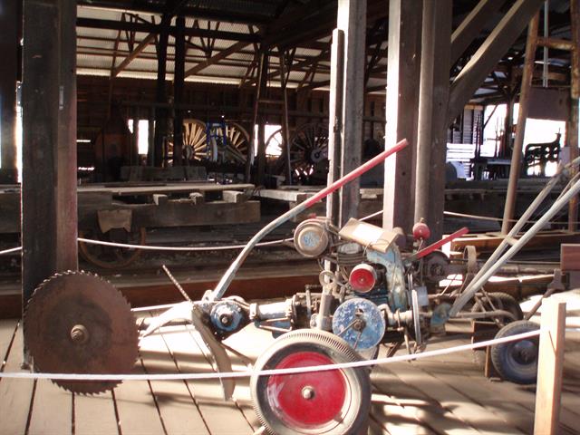 P5160029.JPG