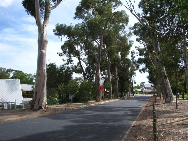 Driveway