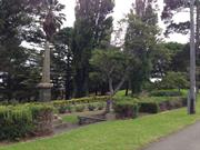 Streetscape Elevation