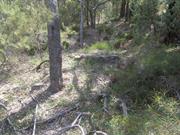 Bilgoman Well 10 - Remnants of Convict depot