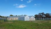 Luisini Winery Group