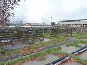 Sheep sale pens - overview