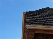 Southern facade - dislodged roof tiles2
