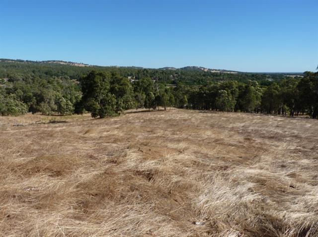 General views, northern portion of the site