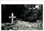 Grave of Nurse H. Williams