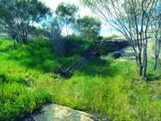 Dam Wall from Southwest