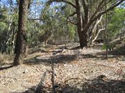 Dirt track adjacent to convict culvert facing north