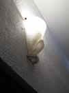 Foyer decorative light