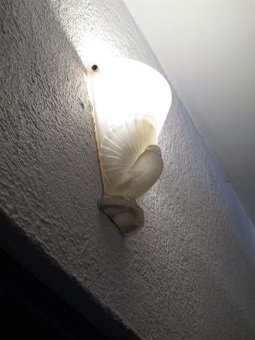 Foyer decorative light