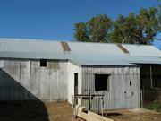 Shearing shed reroofed - north side