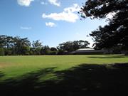 IMG_1295