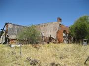 Homestead ruins