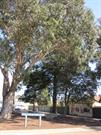 pages park