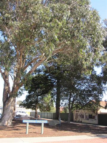 pages park