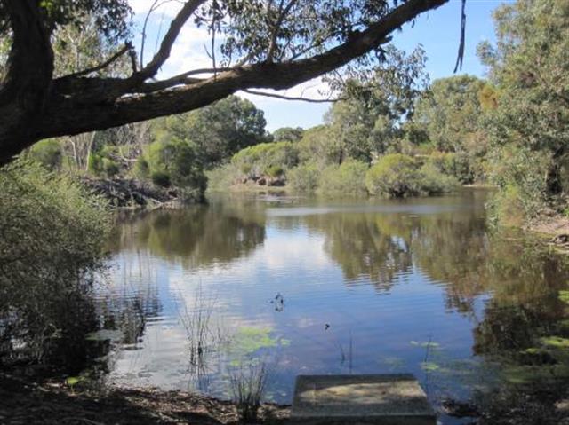 mary carroll park