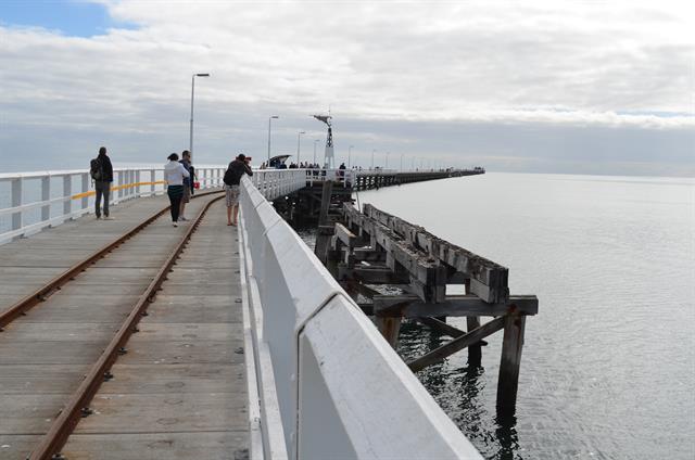 Skeleton jetty node looking north- Jetty mark 106-111