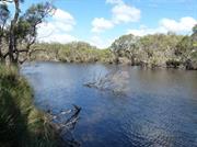 Canning River Regional Park 2