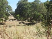 Mornington Train Crash (Historic Site)