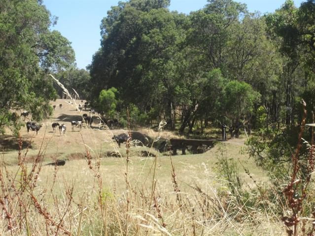 Mornington Train Crash (Historic Site)