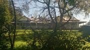 View from McNeil Street