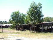 Part view of sawmill group