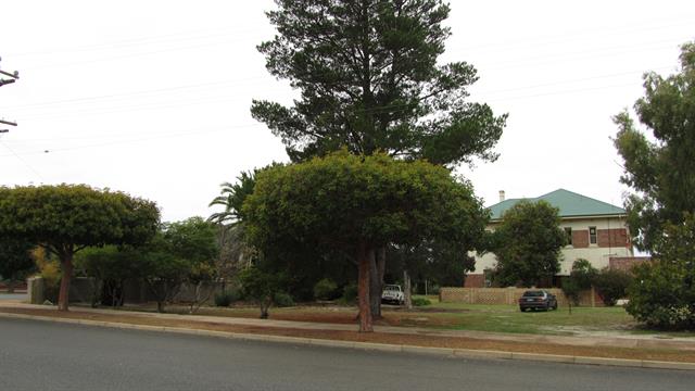 west elevation and gardens from Arbour St