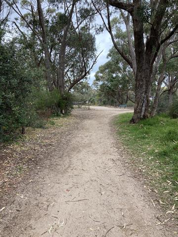 Star Swamp - Southern Side Looking North - 30 Aug 2021