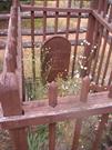 View of Grave and surrounding fence