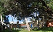 Central Campfire, Scout Hall (left) & Venturers' Den