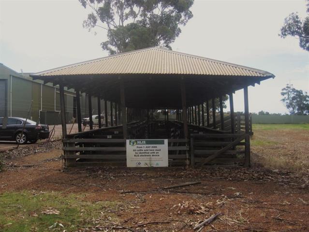 Calf Saleyards
