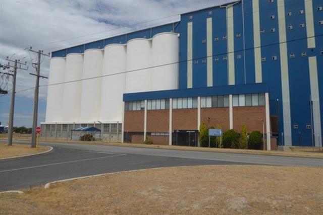 Grain Terminal 1
