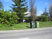 oliphant street