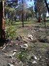 Convict Road Remnants