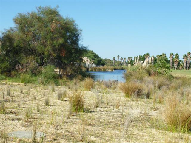 View east across Victoria Park Drive