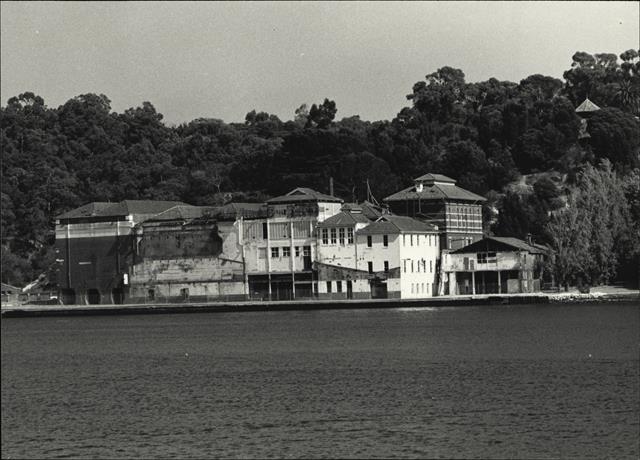 General view of brewery from Mill Point showing demolition damage(2)