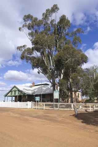 Front corner elevation showing trees and house