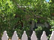 22 Byers Road 05