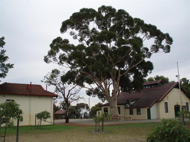 Caretaker's residence and Engine Room (former), looking northeast