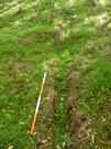 Postans' Cottage, possible drainage cut, west of cottage