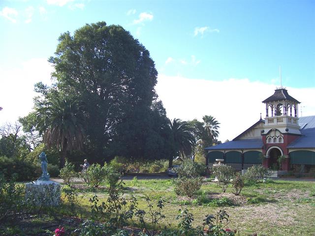 looking north-west to gardens & house from gordon street