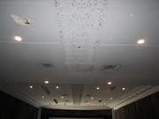 Cinema 1 ceiling detail